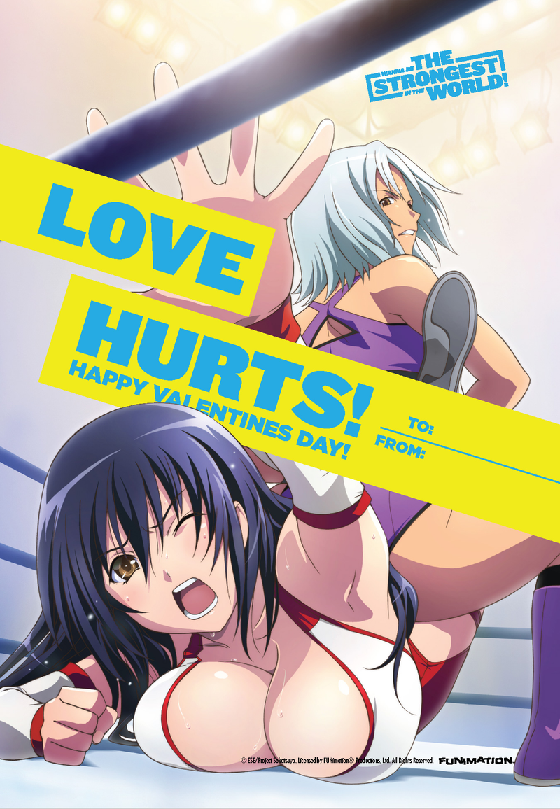 Illustration for article titled Funimation Is Here To Remind Us We Will Always Have Our Waifus
